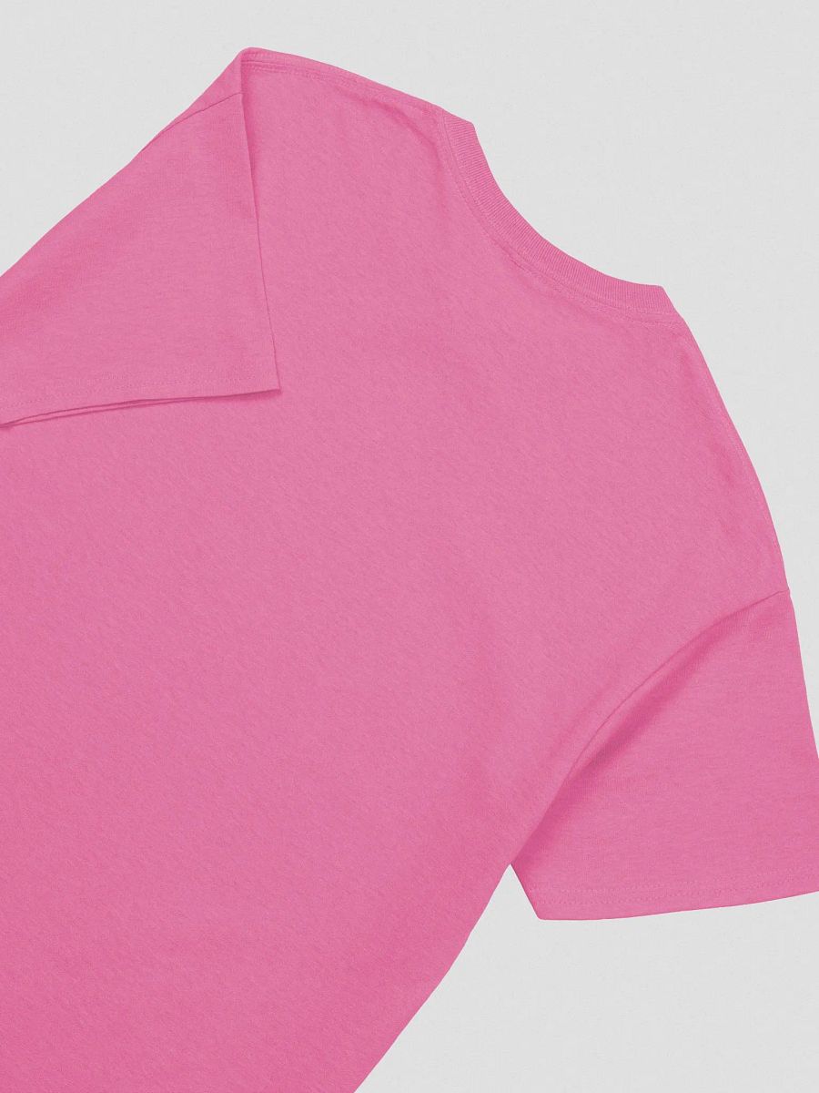 Pinipy Logo Shirt (Colour Options) product image (46)