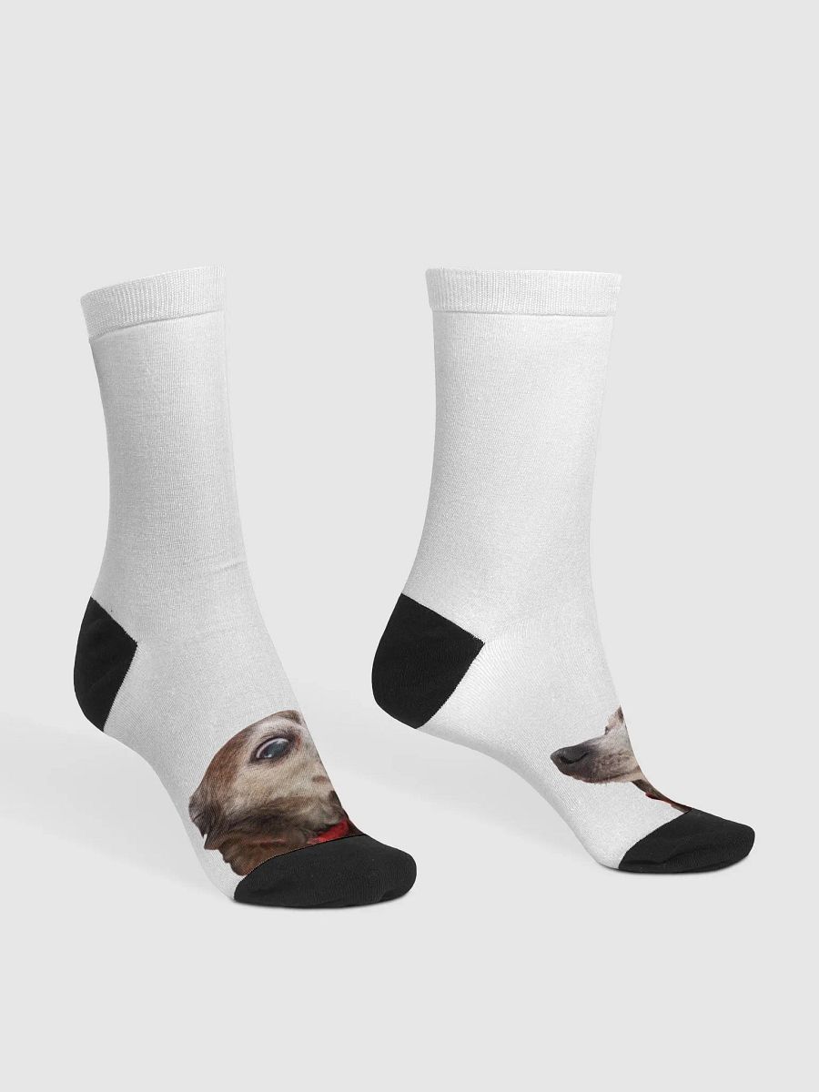 Fox Toesie Sox product image (3)