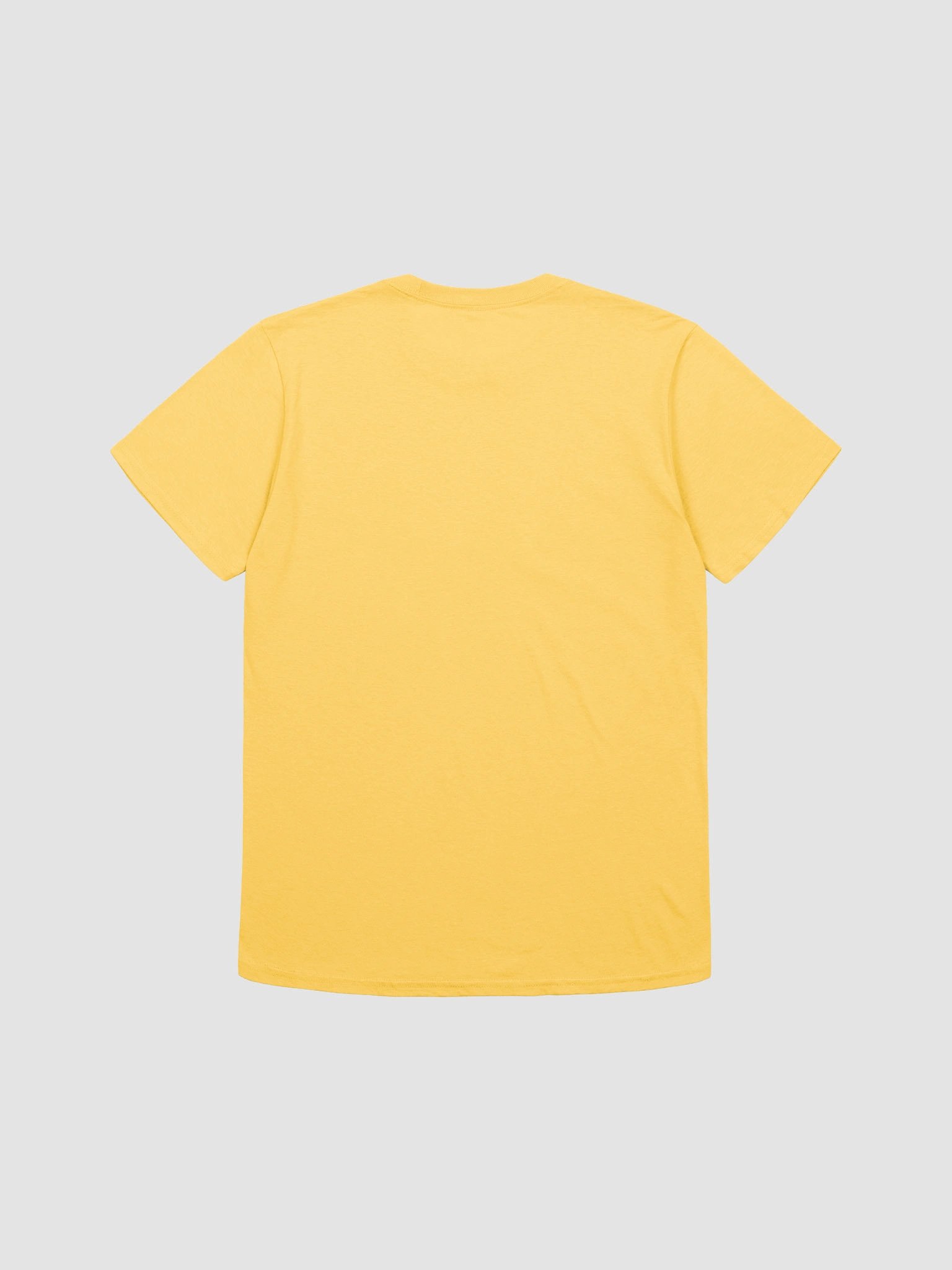 Healthy & Wealthy Vegan Style T-Shirt product image (2)
