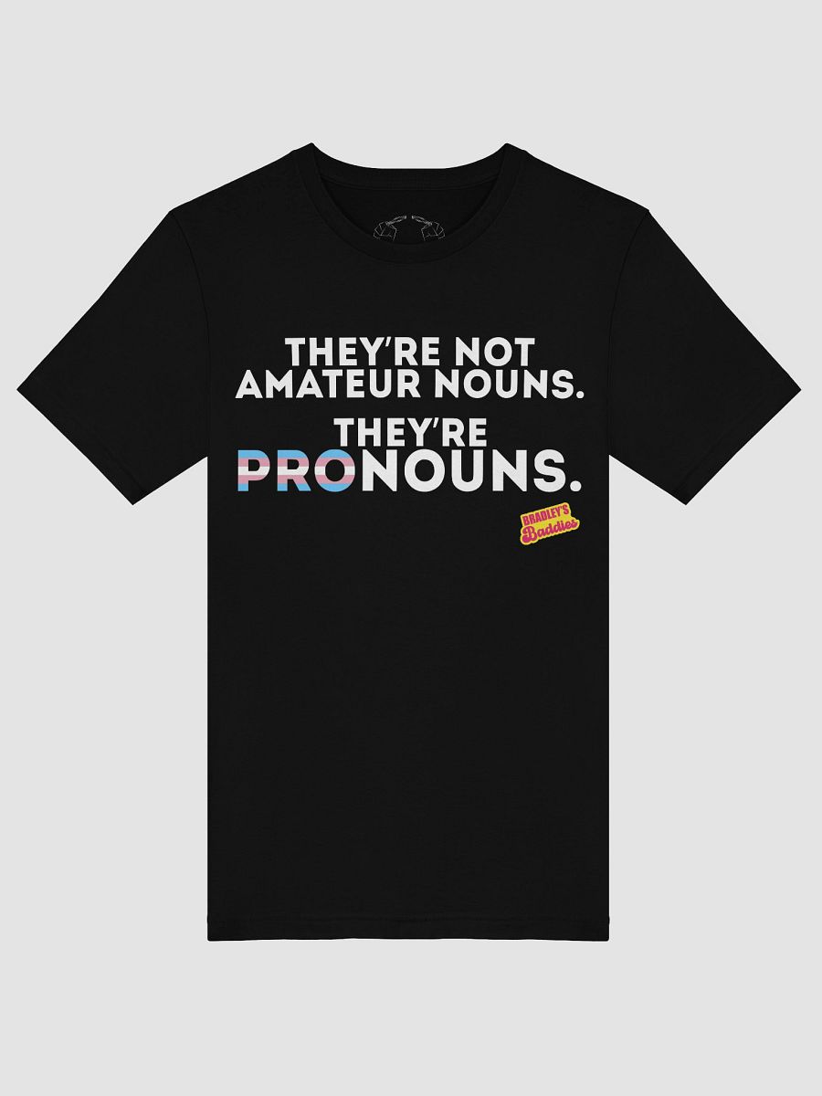 Pronouns Trans Tee product image (33)