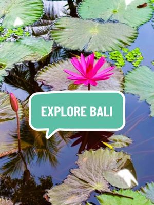 A glimpse of Bali! 💙 Where to next?  #travel #explore #bali #indonesia #nusadua #fyp #mindful #lovetheworld #foryoupage