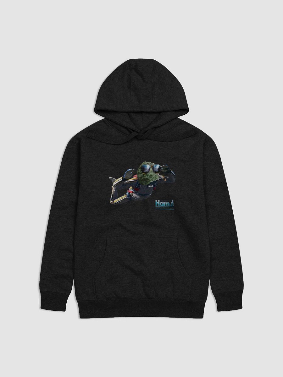 N1OG Skydiving LFH Hoodie product image (1)