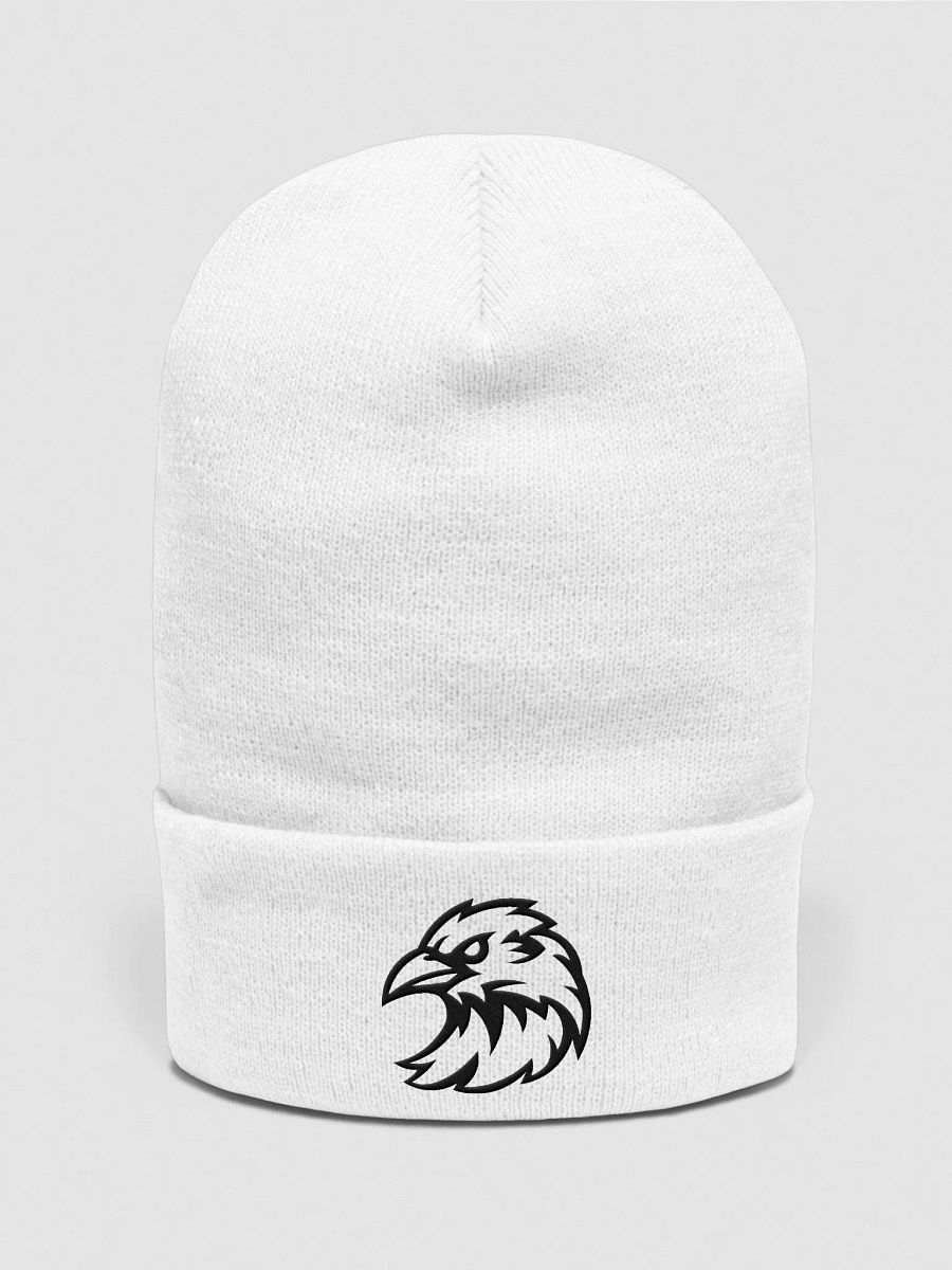 Raven Embroidered Beanie product image (3)