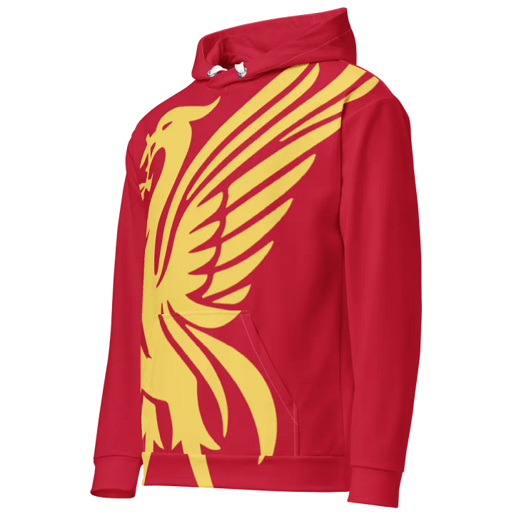 Liverpool FC - You'll Never Walk Alone - RED & GOLD - Unisex Hoodie product image (1)