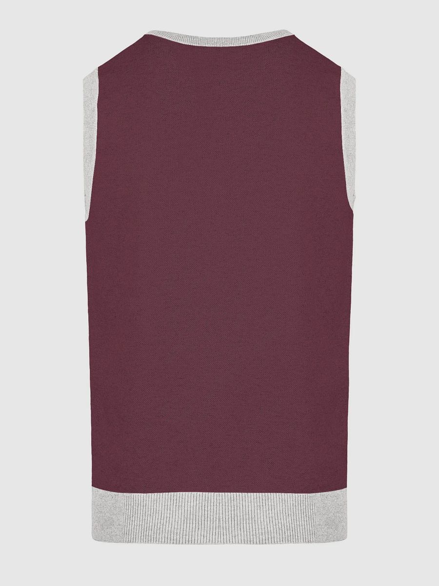 Mouthful of Style Knitted V-Neck Vest product image (20)