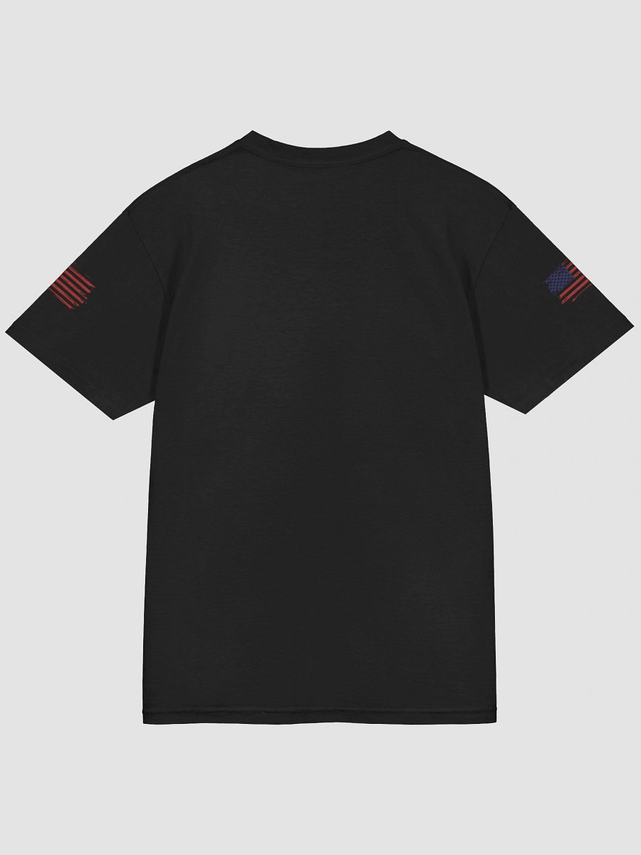 Garment-Dyed Heavyweight Man T-Shirt NASA + USA Flag Logo product image (4)