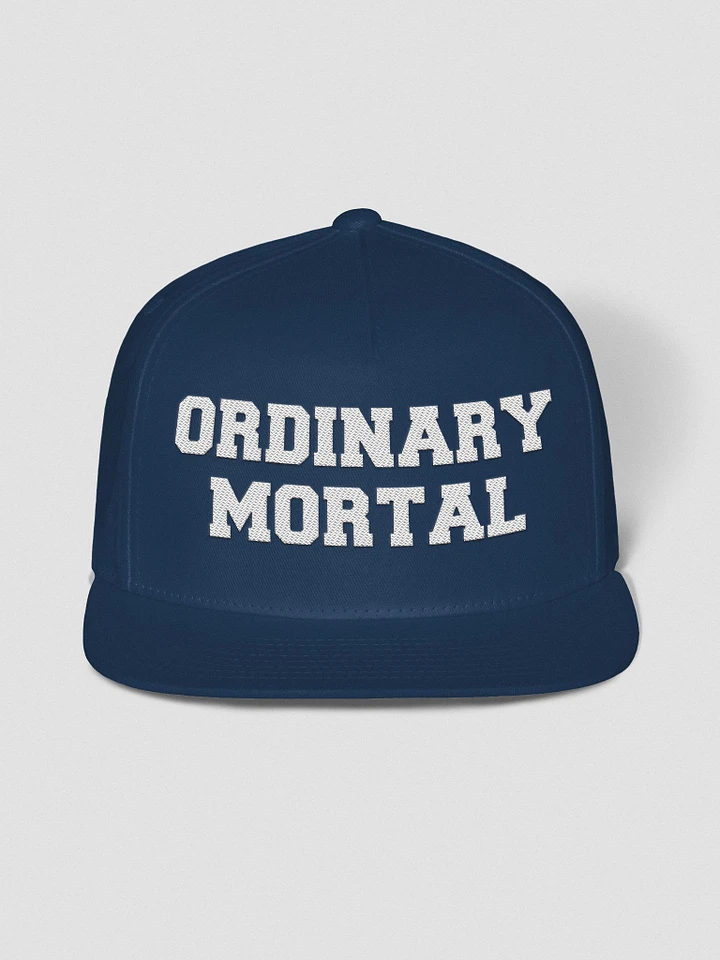 Ordinary Human embroidered trucker hat product image (1)