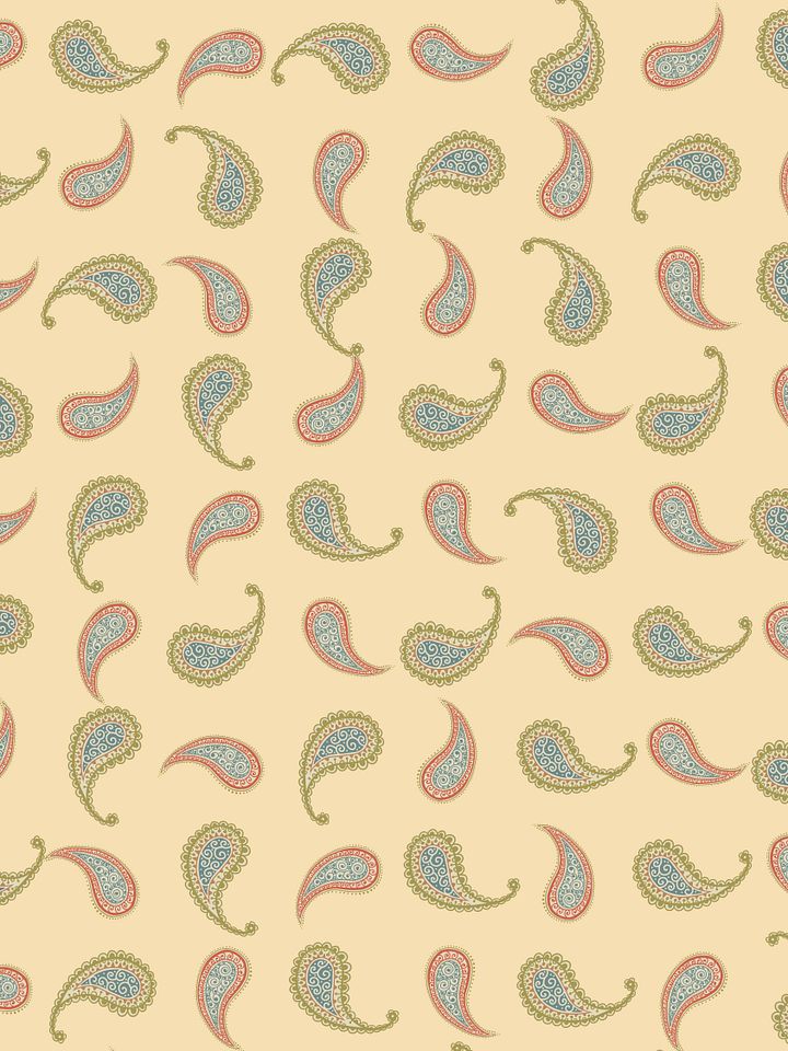 motif_design_paisley_1 product image (1)