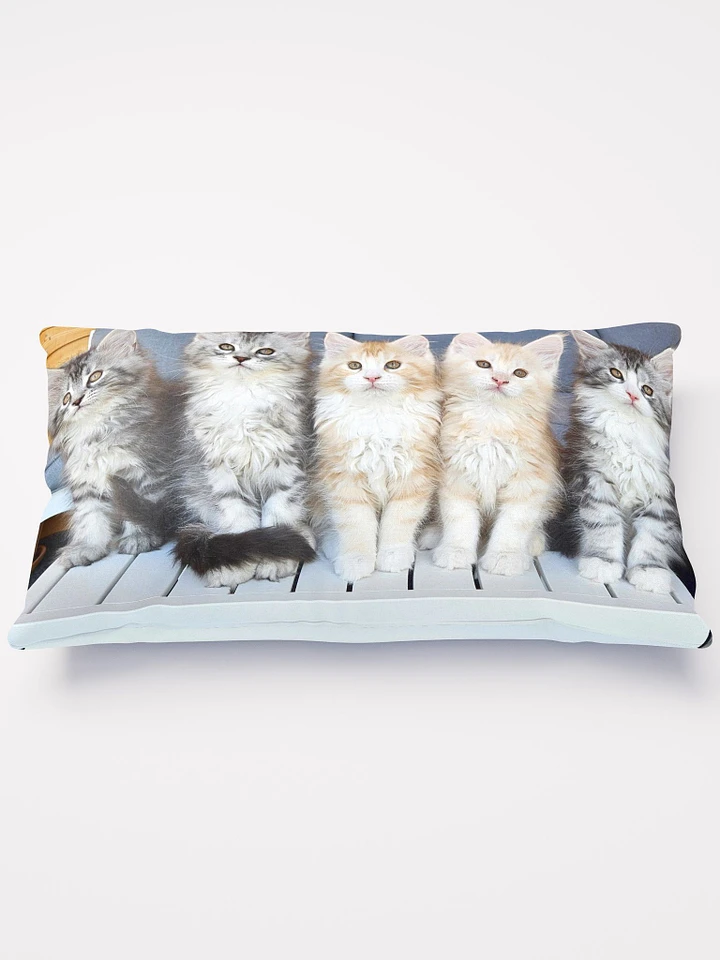 Maine Coon Kittens Pillow product image (1)