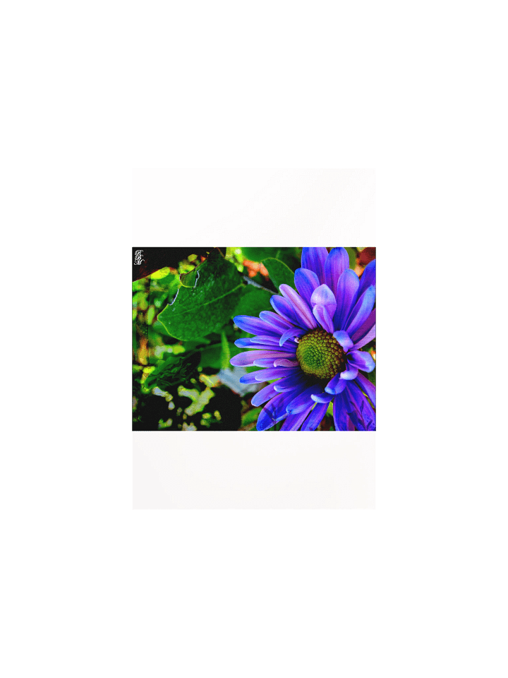 Bright Purple Flower product image (1)