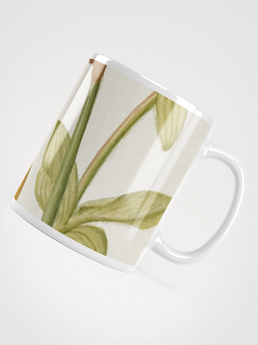 Botanical Bliss White Glossy Mug product image (4)