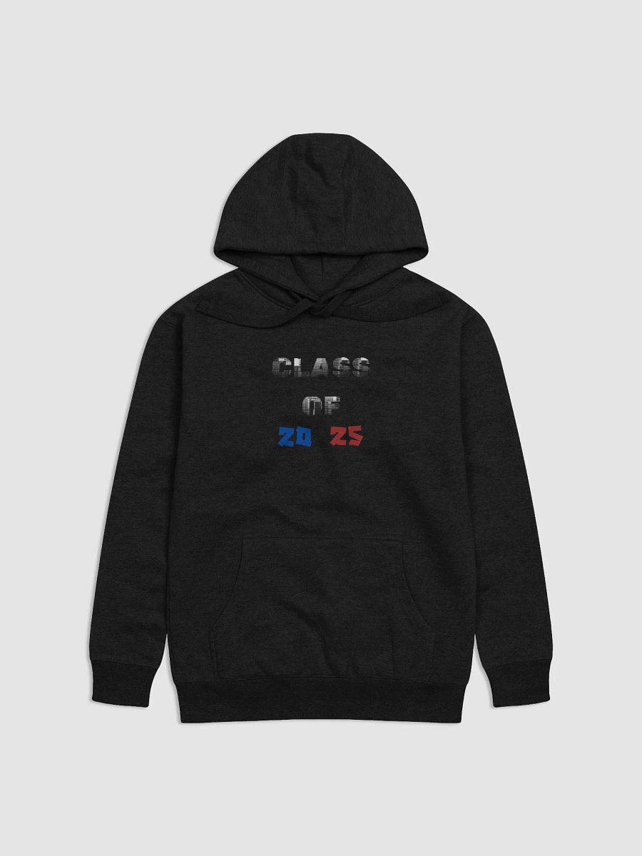 Class of 2025 Font Fusion Hoodie product image (1)