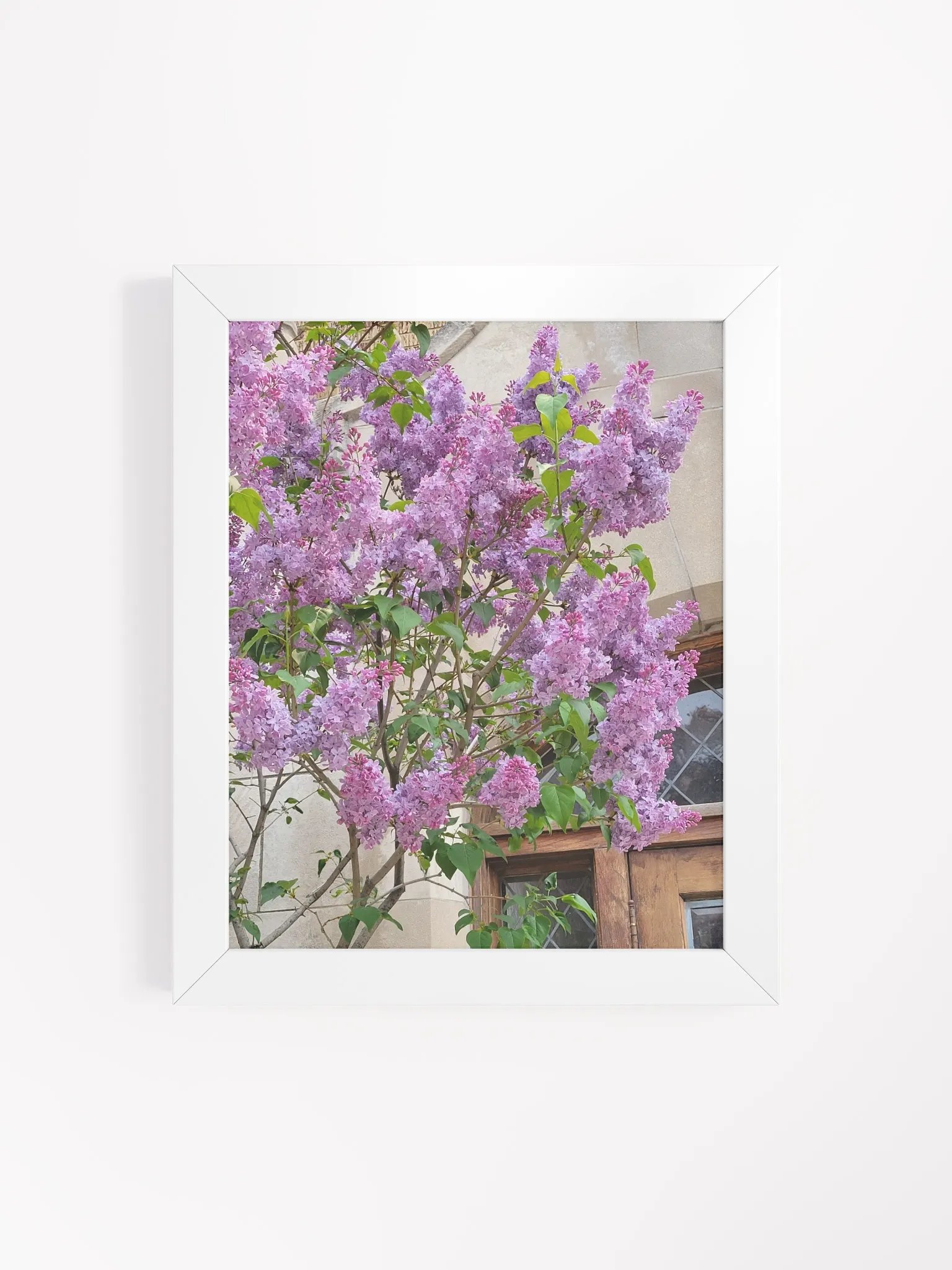 Lilac Serenity Framed Poster product image (16)