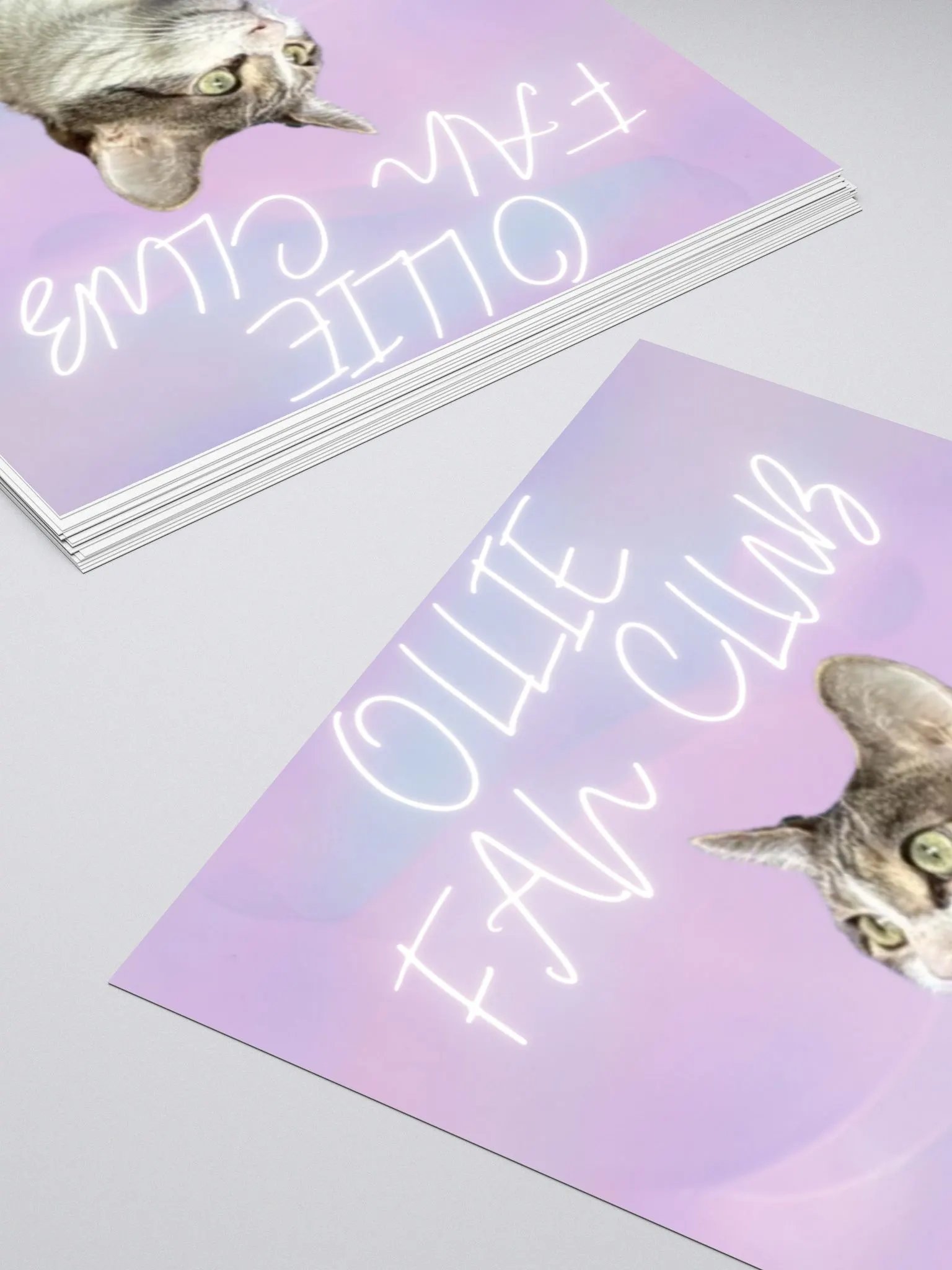 "OLLIE FAN CLUB" Sticker product image (7)