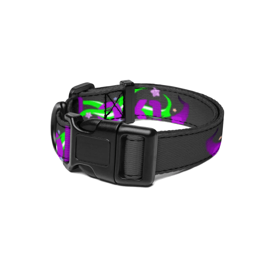 Dewey Pet Collar product image (1)