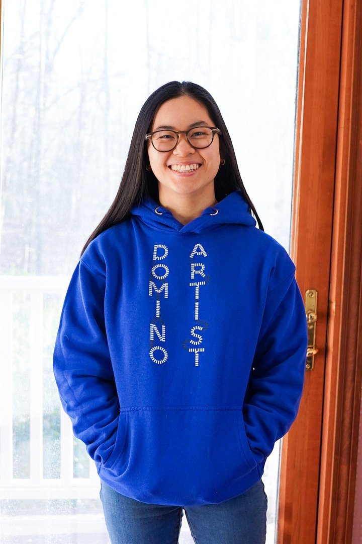 Domino Artist Hoodie (Youth) product image (2)