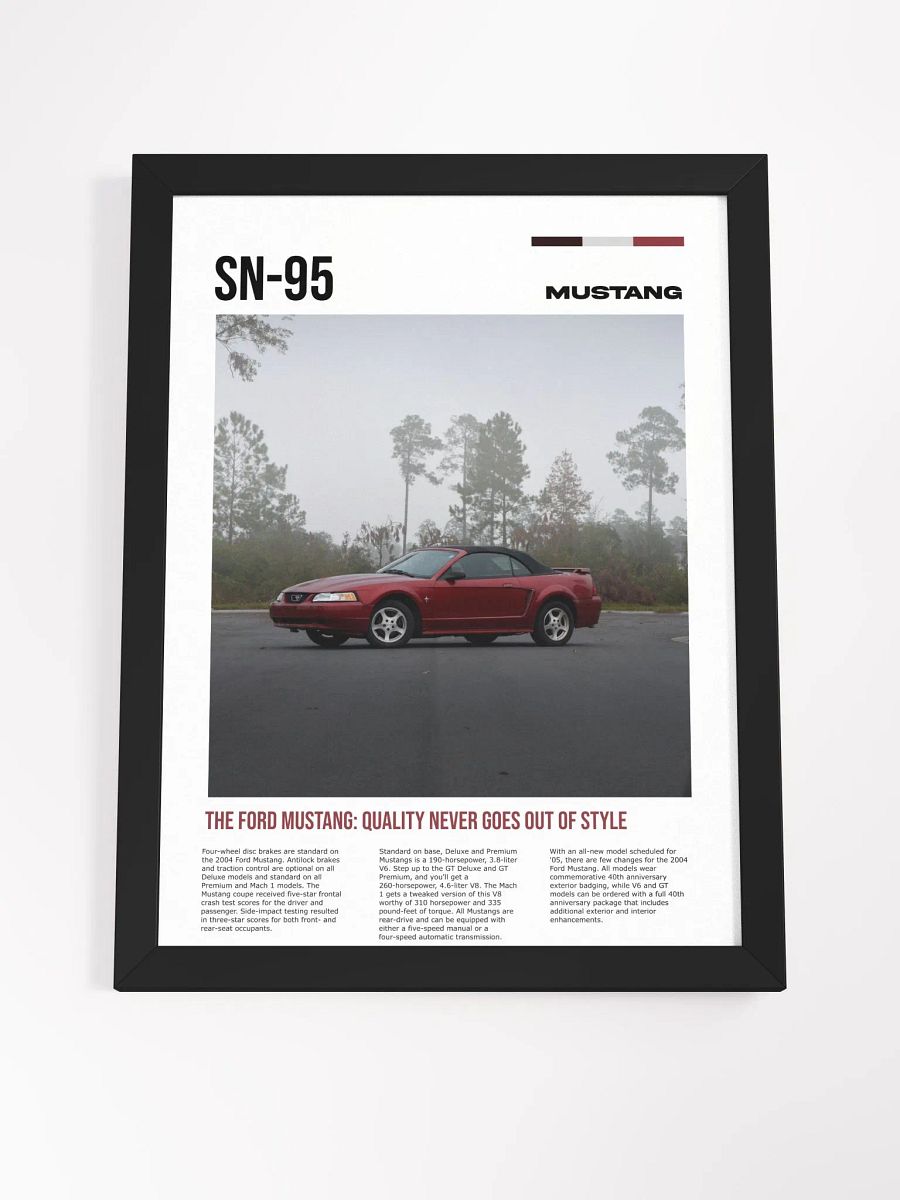 SN-95 framed poster product image (4)