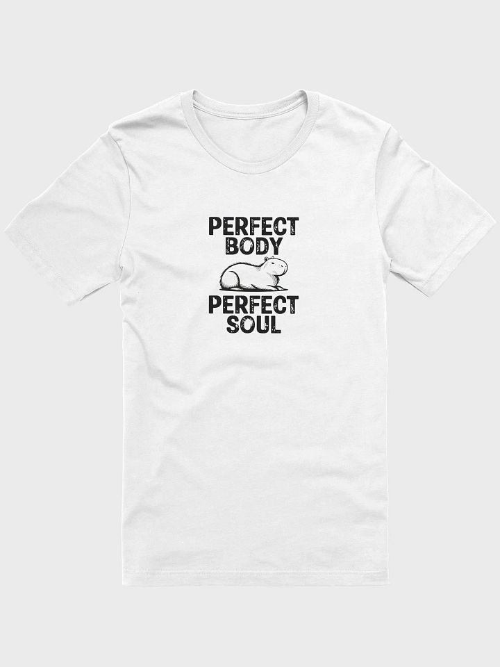 Perfect Body, Perfect Soul T-Shirt product image (52)
