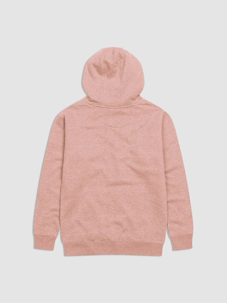 DIVINE HOODIE SALMON product image (2)