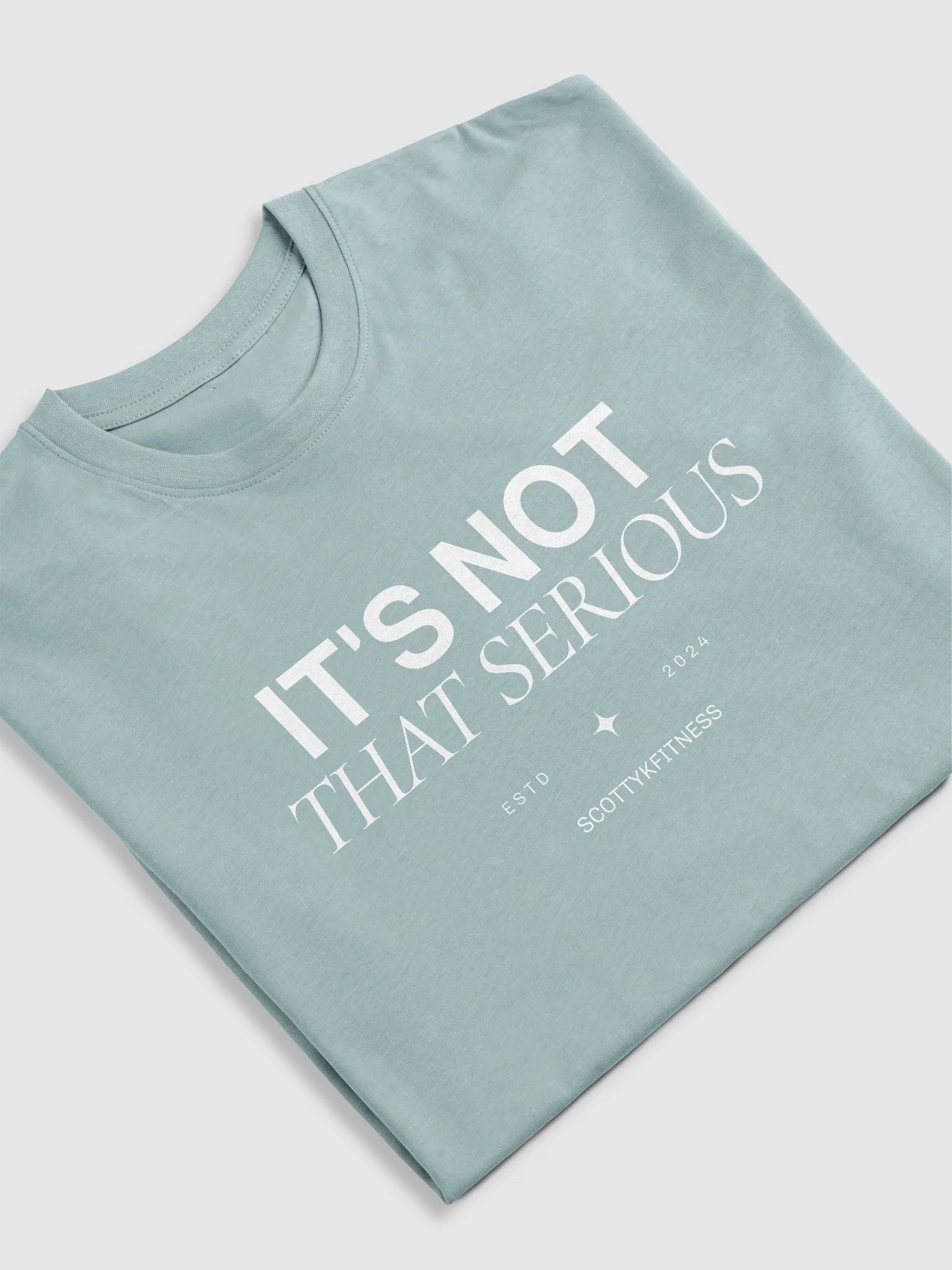 It's Not That Serious Unisex Heavyweight Tee product image (17)