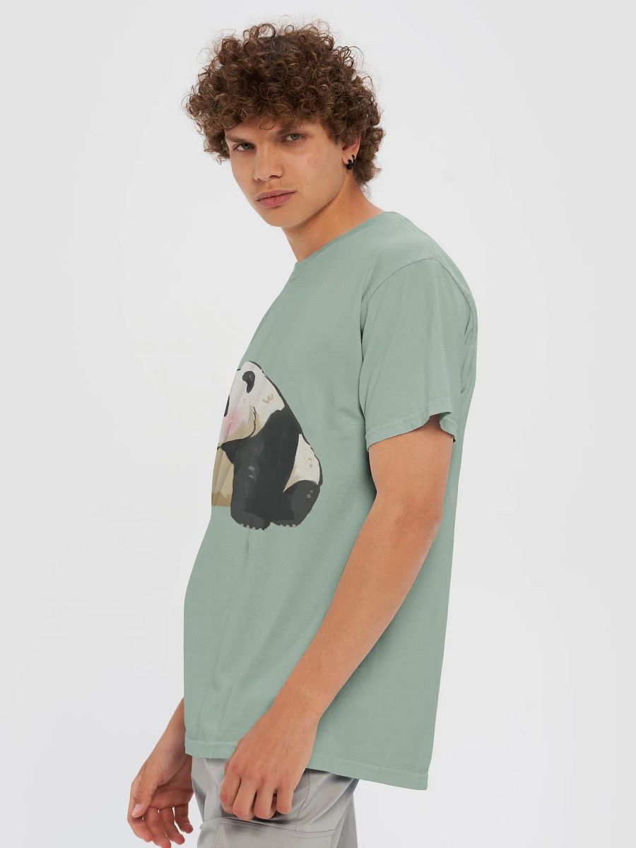 HUAHUA🐼Giant Panda product image (81)