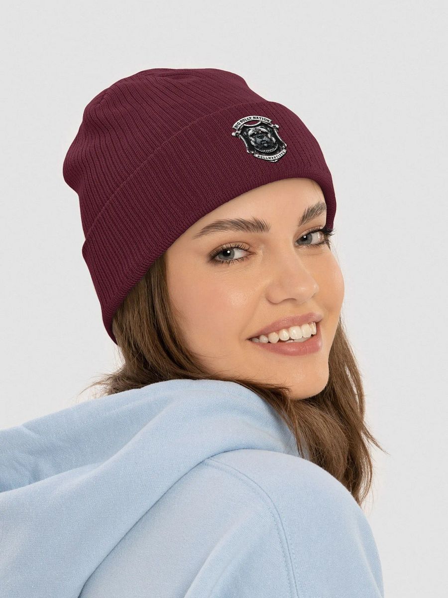 BBN Alter Ego Beanie product image (45)