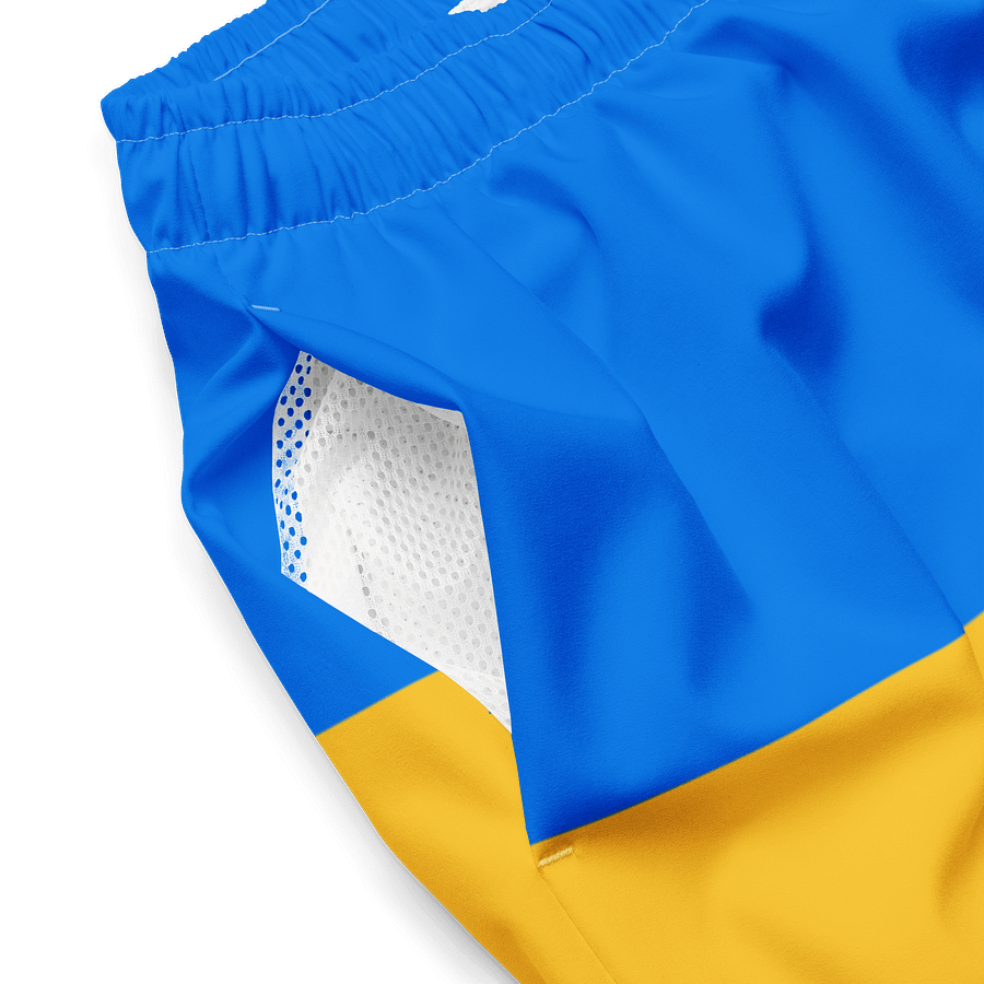 Sunshine Splash Swim Shorts product image (4)