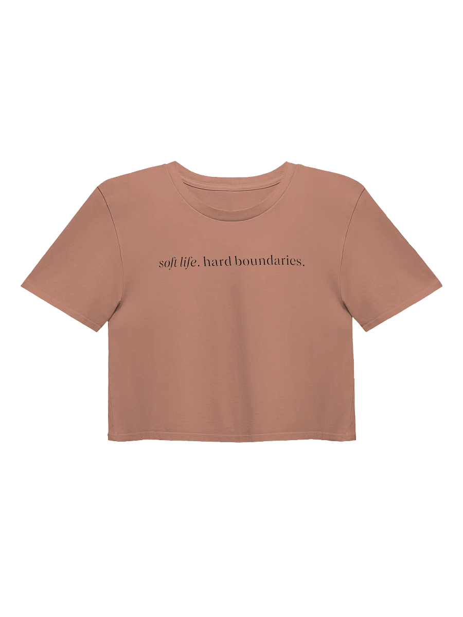 soft life. hard boundaries. screen print crop. product image (1)