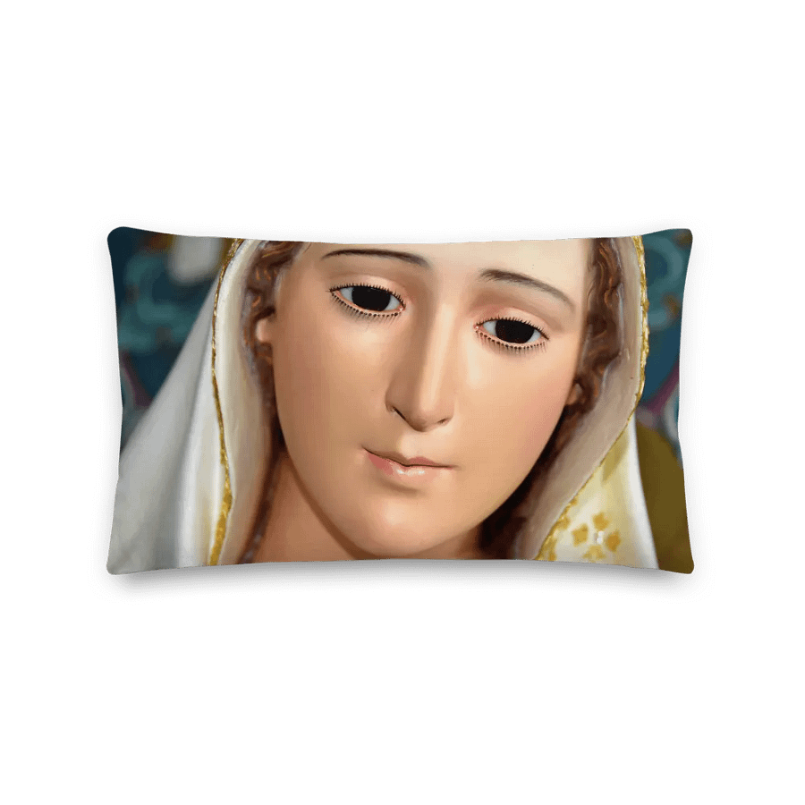 OUR LADY OF COMPASSION Premium Pillow product image (1)