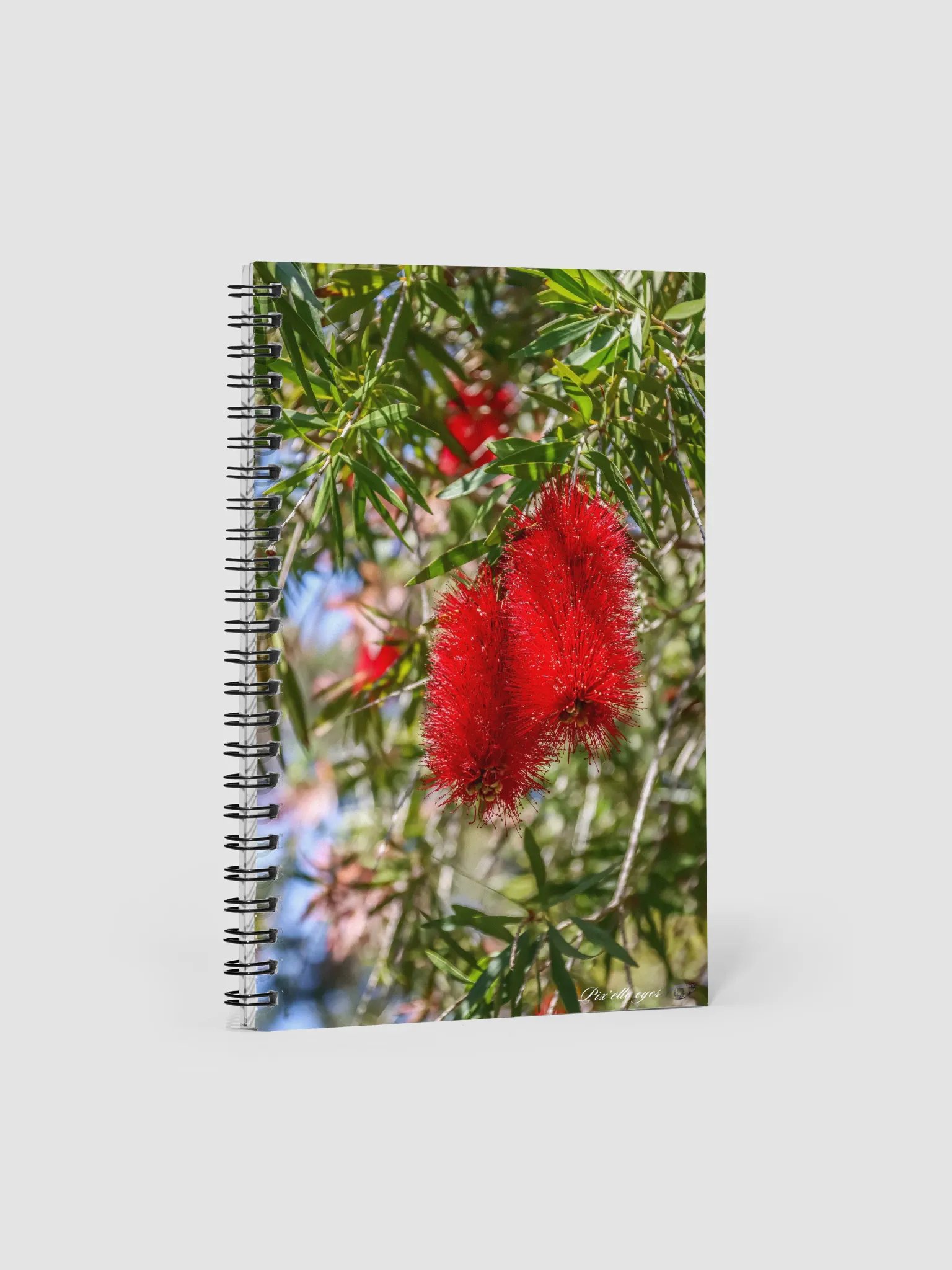 📘 Notebook Collection PURE – Jardin du Rayol – Callistemon product image (1)