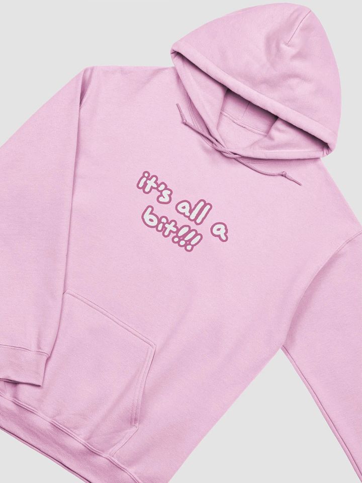 “It’s all a bit!!!” (lined design, #CB6398) classic hoodie product image (37)
