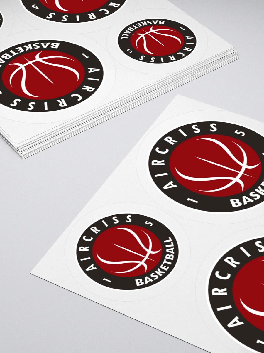 4 Pegatinas Logo Aircriss product image (4)
