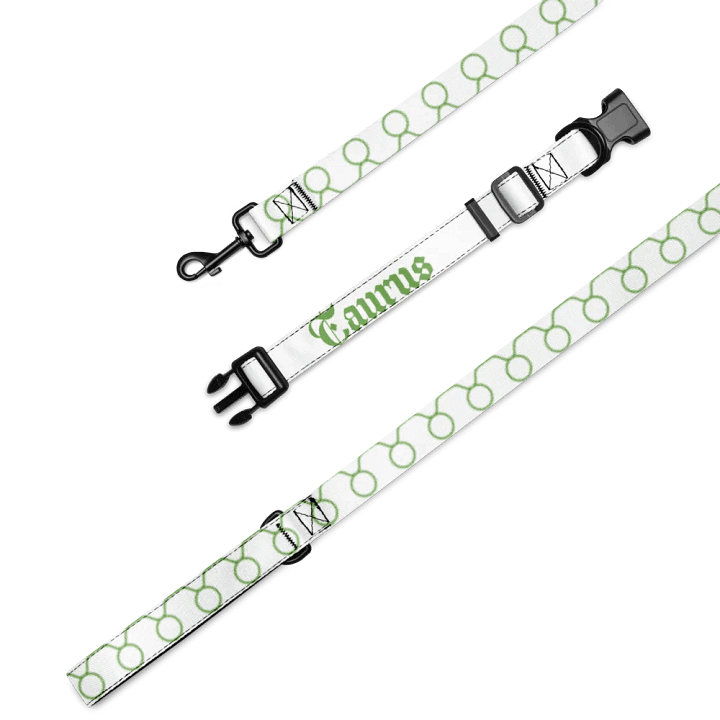 Stylish Taurus Pet Collar & Leash Set product image (4)