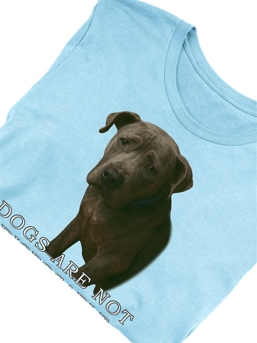 Dogs Are Not Disposable T-Shirt product image (47)