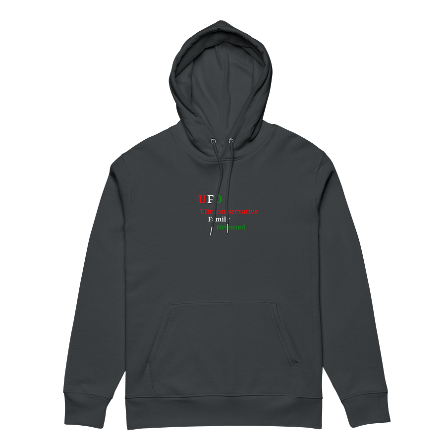 UFO Ultraconservative Family Oriented Hoodie product image (5)