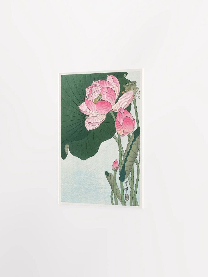 Blooming Lotus Flowers by Ohara Koson product image (2)