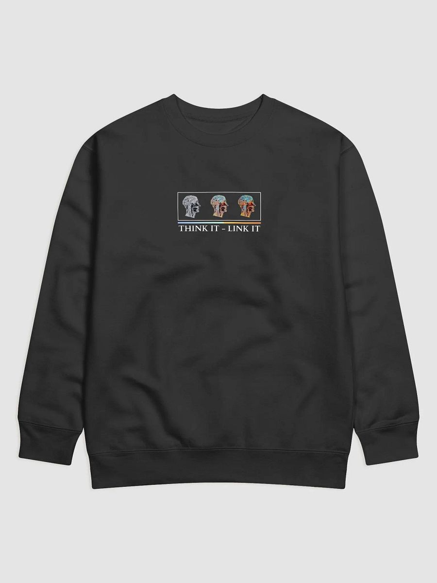 Think It, Link It / Premium Sweatshirt product image (1)