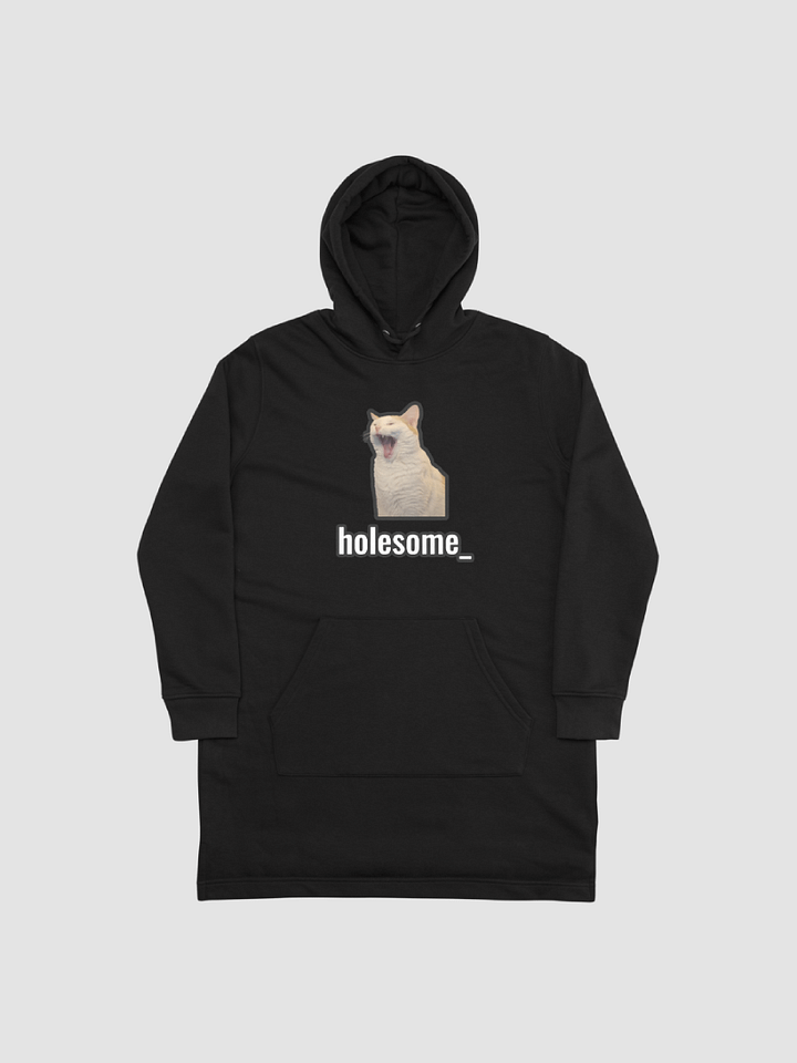 holesome Nico Hoodie Dress product image (1)