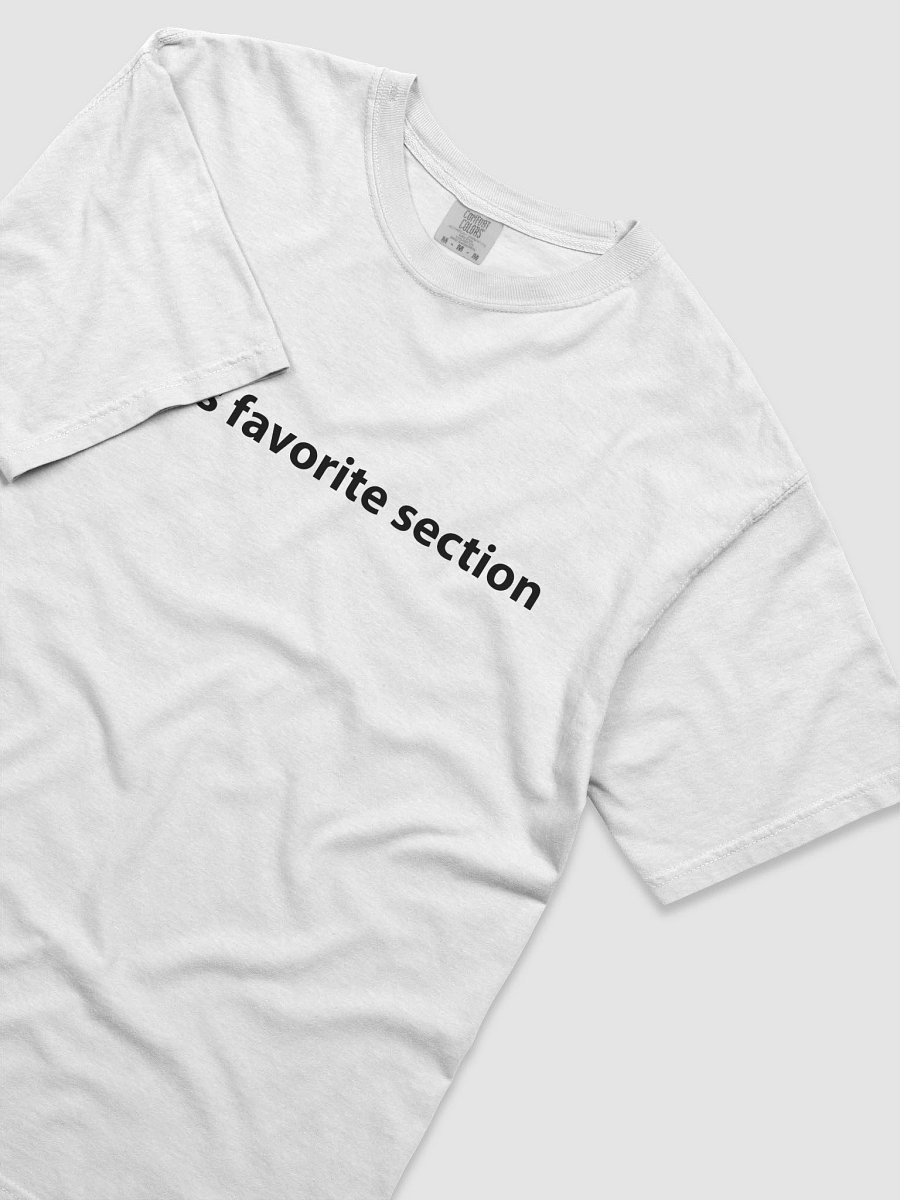 god's favorite section | t-shirt product image (5)