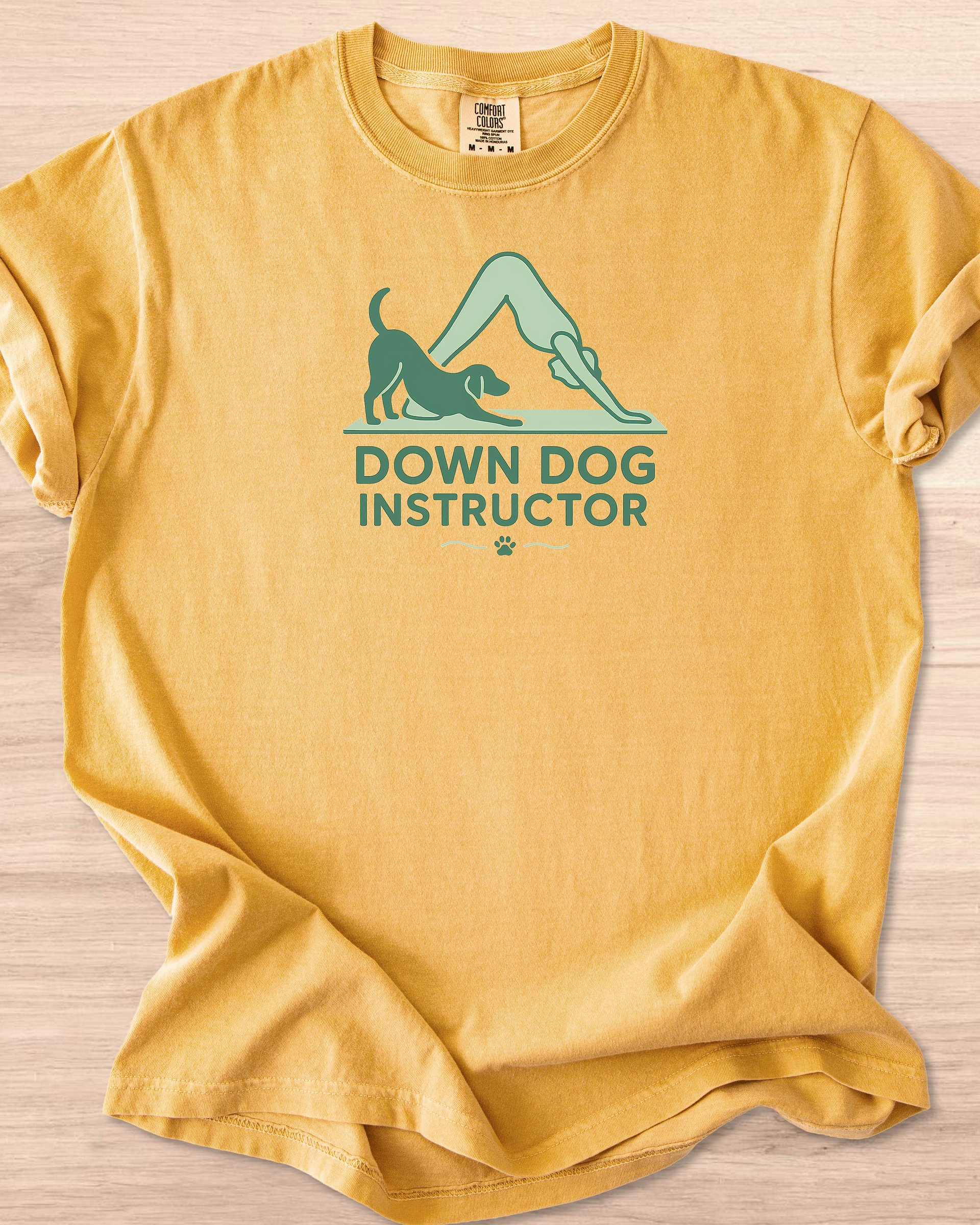 Down Dog Instructor Tee product image (23)