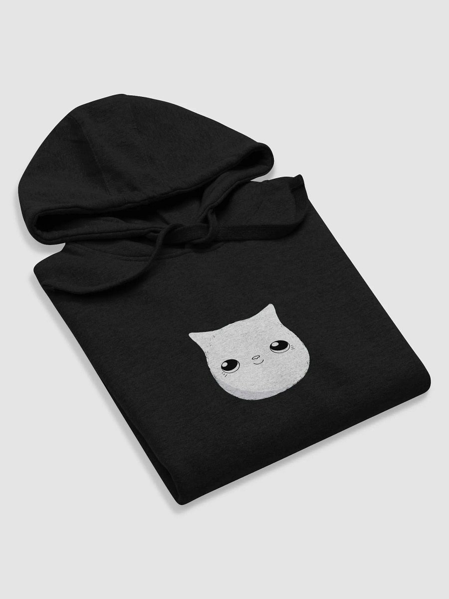 Big Bol Hoodie product image (5)