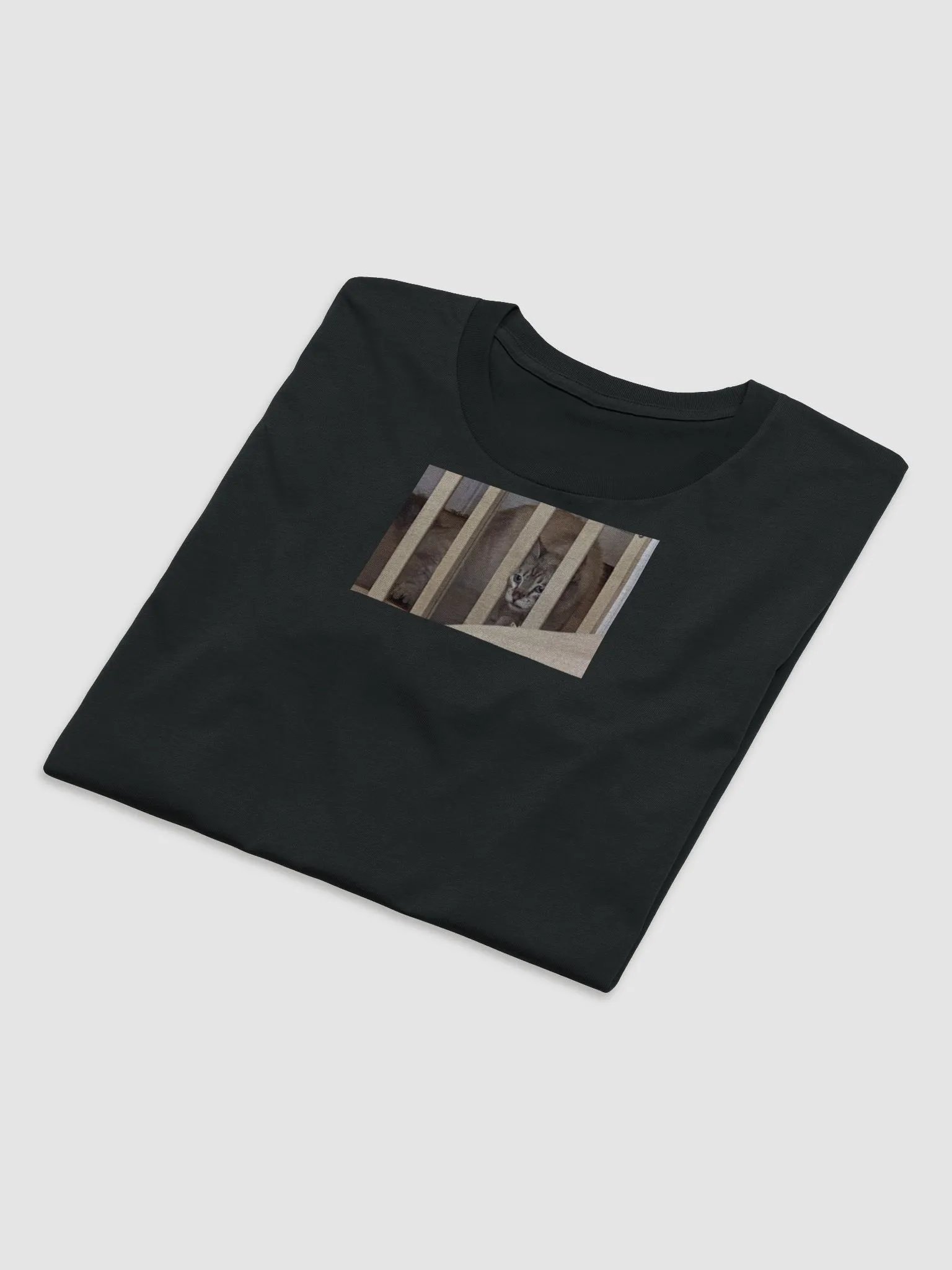 jail product image (8)
