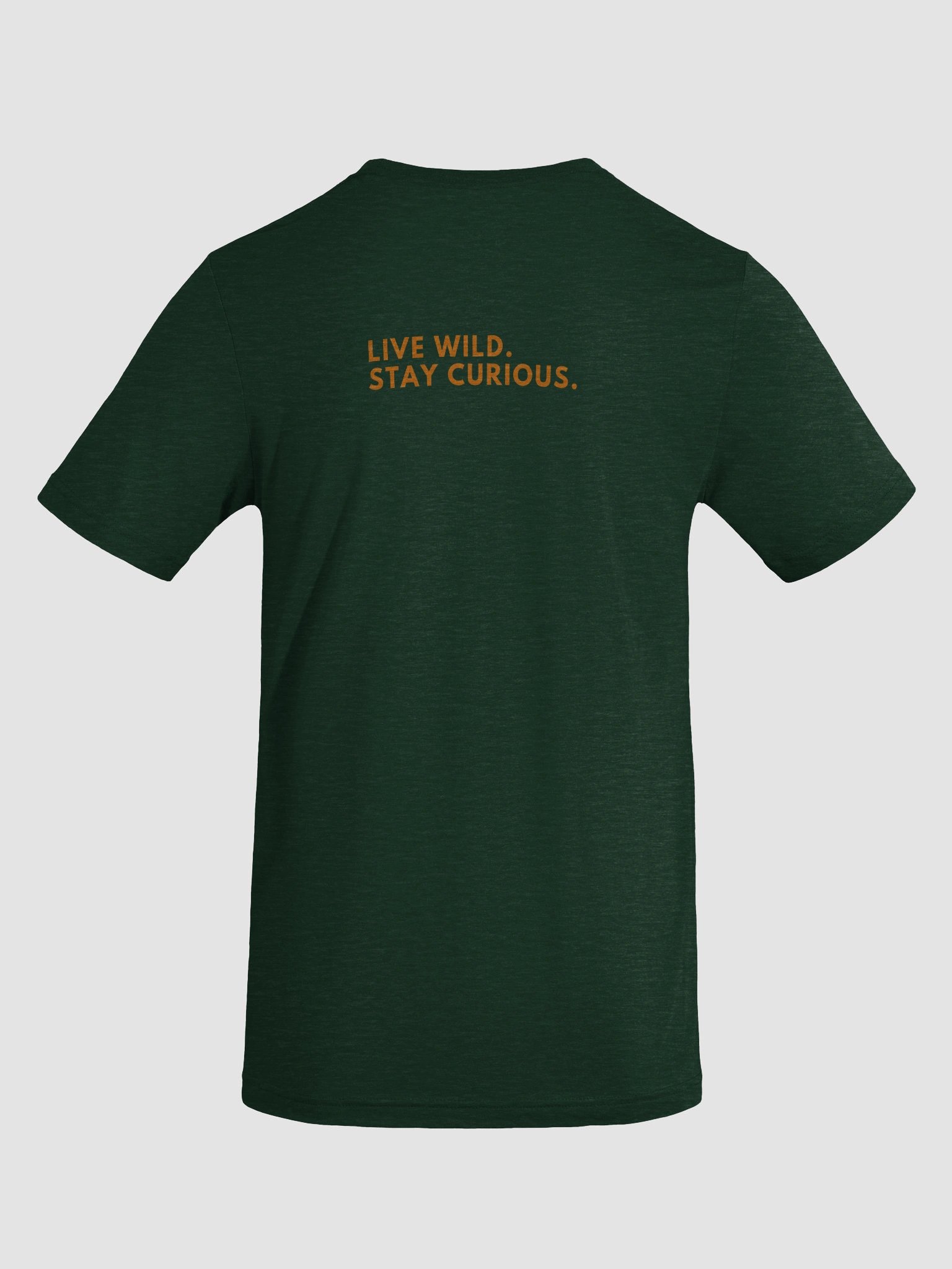 Tri-Blend Tee | Live Wild. Stay Curious. product image (10)