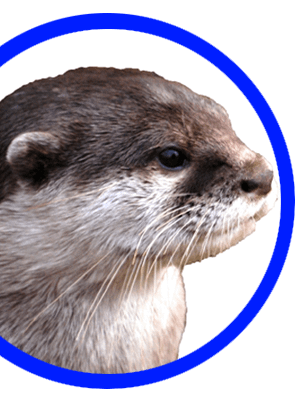 An Otter Parody - Imagine Zero product image (1)