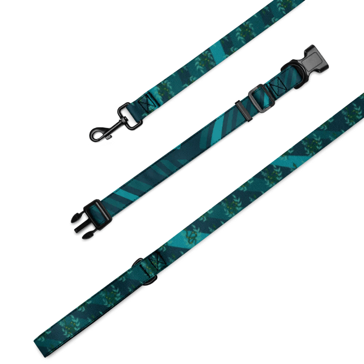 Chromatic Waves Pet Collar & Leash Set product image (2)