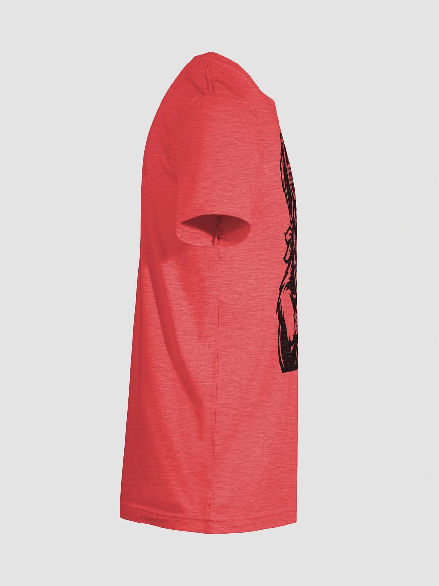 Patriotic Pup Rock Tour Look | Border Collie T-Shirt product image (12)