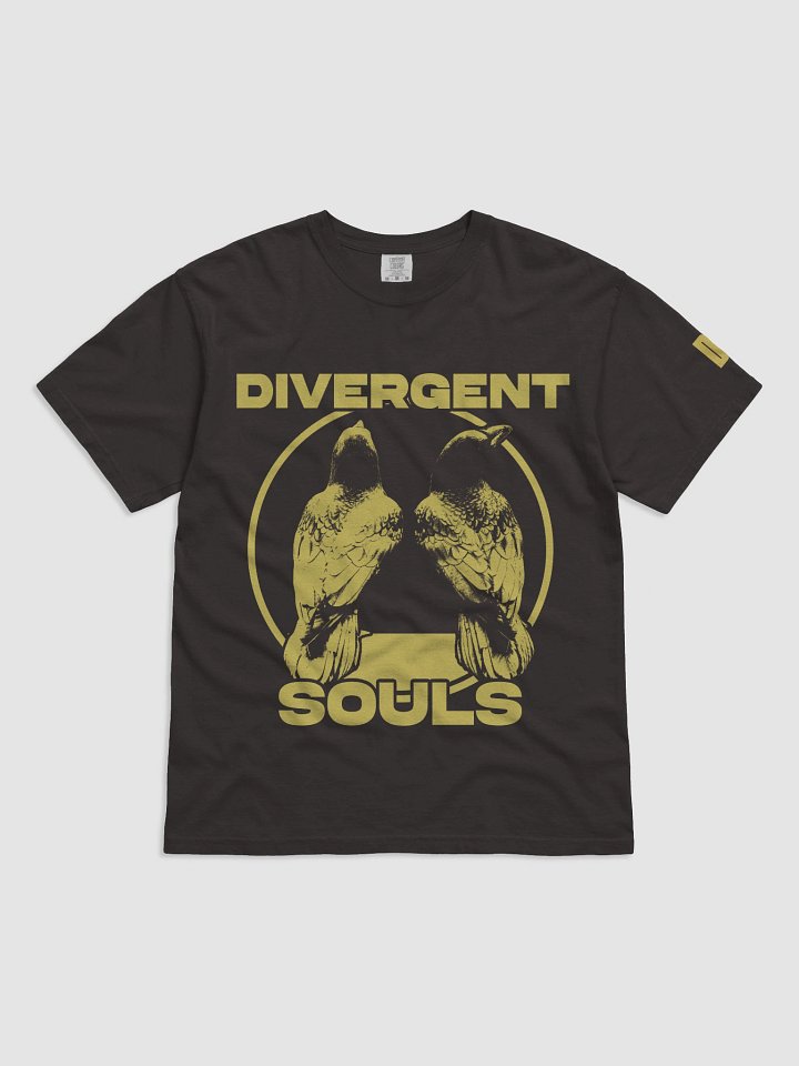 Divergent Souls - Crows Tee product image (1)