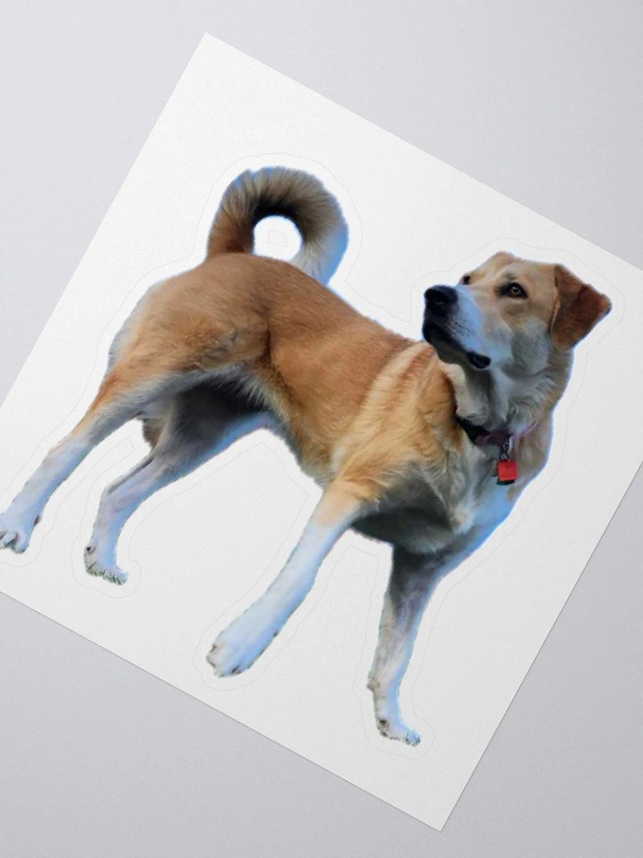 Tailsy sticker product image (2)