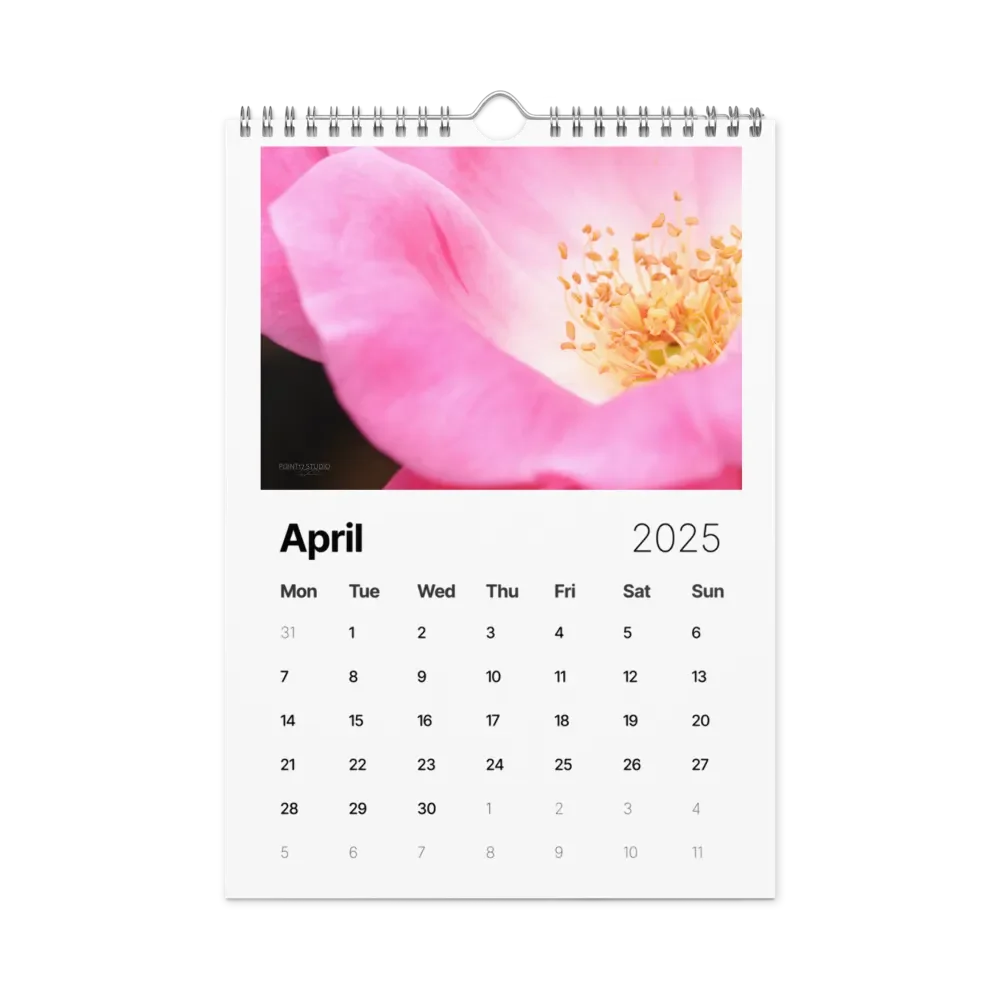 Pure Colors 2025 Wall Calendar product image (5)