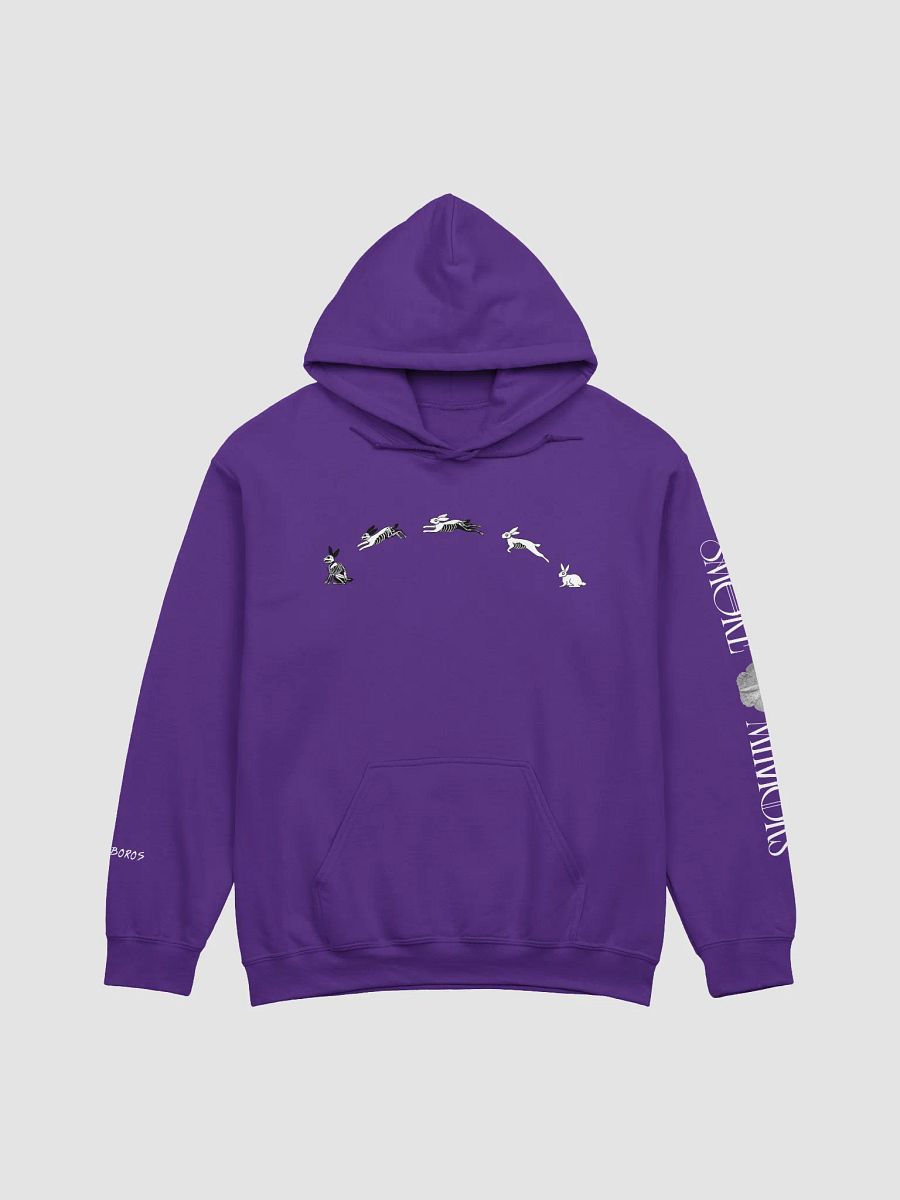 White Rabbit's Curse Hoodie product image (6)